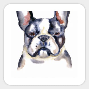 French Bulldog Watercolor - Gift For Dog Lovers Sticker